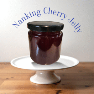 Nanking Cherry Jelly